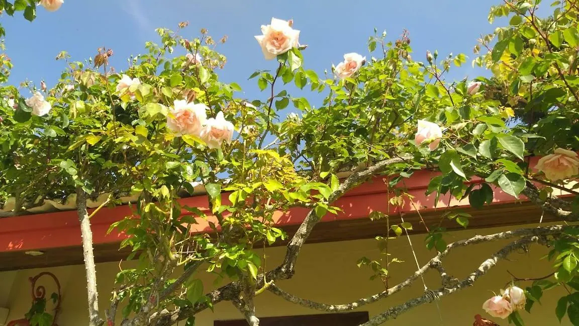 Tatil Evi Casa Completa Ensolarada No Alto Do Capivari Com Vista Infinita Villa Campos do Jordão Brezilya